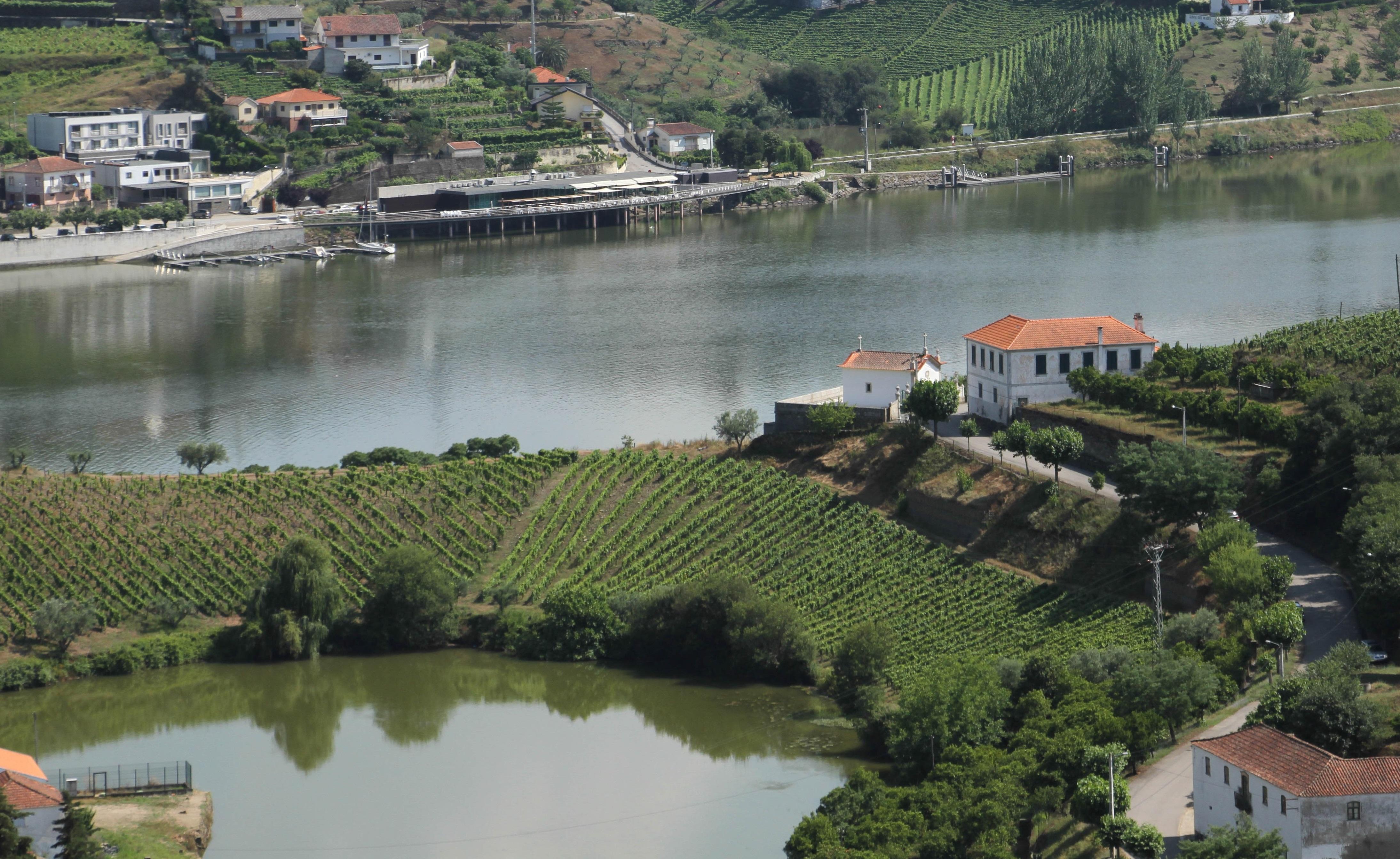 Hotel Folgosa Douro Armamar Buitenkant foto
